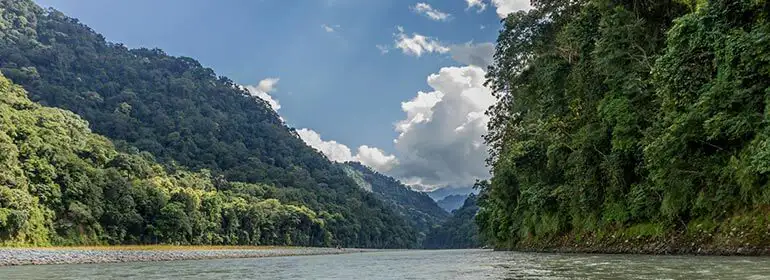 Bird watching tour at Namdapha National Park Arunachal pradesh 