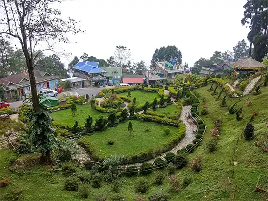 Lamahatta eco park | Darjeeling package tour