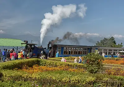 Darjeeling trip package