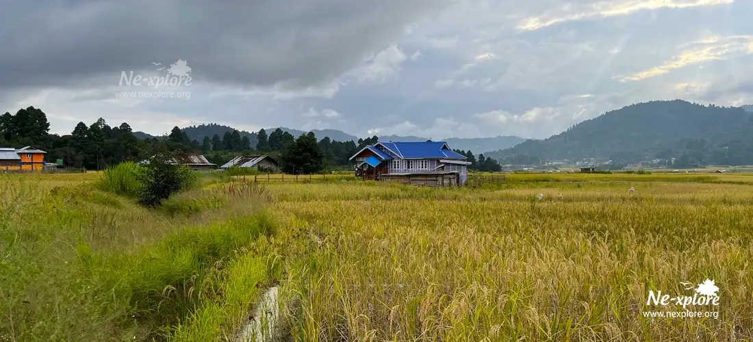 Ziro valley tour package